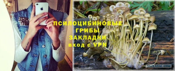 PSILOCYBIN Кинешма