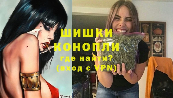 PSILOCYBIN Кинешма