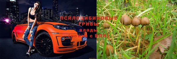 PSILOCYBIN Кинешма